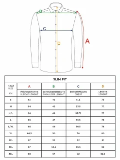 Wam Denim Overhemd Lange Mouwen<Leira Solid Black Overhemd Lange Mouw