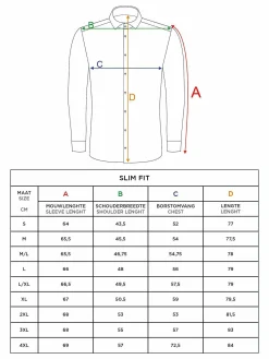 Wam Denim Overhemd Lange Mouwen<Overhemd 75428 Roma Light Blue